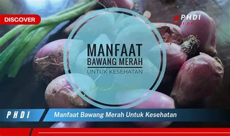 Ketahui Manfaat Bawang Merah Untuk Kesehatan Yang Jarang Diketahui