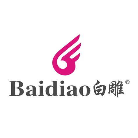 Company Overview Wenzhou Baidiao Electrical Technology Co Ltd