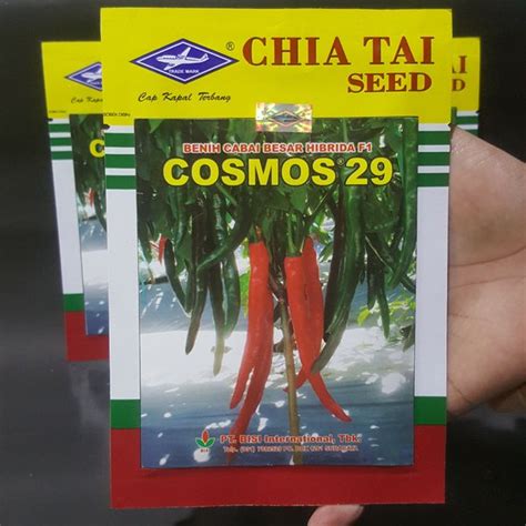 Jual Benih Biji Bibit Cabai Besar Cosmos Gr Cabe Hibrida Kapal