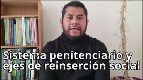 Sistema Penitenciario Y Ejes De Reinserci N Social Penitentiary System