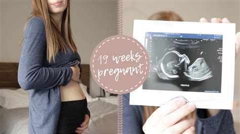 19 Weeks Pregnant Anatomy Scan And Gender Reveal Youtube