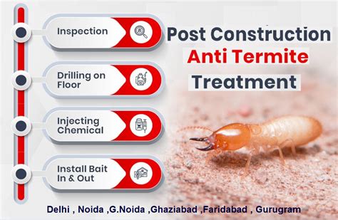 Termite Pest Control Services In Gurgaon