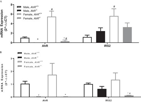 Effects Of Aryl Hydrocarbon Receptor Deficiency On Pcb 77 Induced