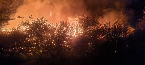 Feuerwehr kann Wohnhaus schützen Gartenhütten brennen ab