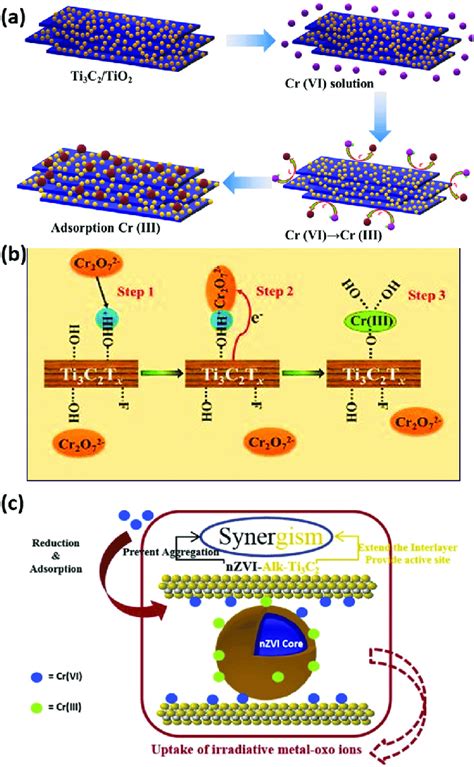 A An Illustration Of The Removal Mechanism Of Cr Vi By The Ti C