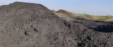 Powder Steam Coal Dust At Rs 6700 Tonne In Sidhi ID 24191320991