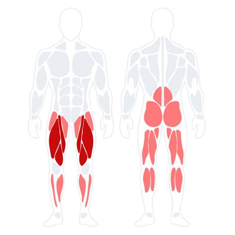 Dumbbell Squats เครื่องออกกําลังกาย Irontec
