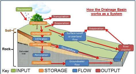 Rivers Floods And Management Drainage Basin Hydrological Cycle Mind Map