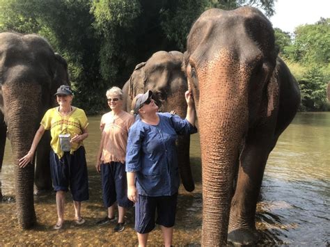 Chiang Mai Excursión al Santuario de Elefantes y a la Cascada Pegajosa