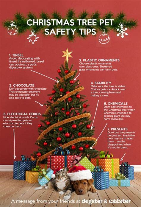 Christmas Tree Pet Safety Tips For A Purrfect Christmas