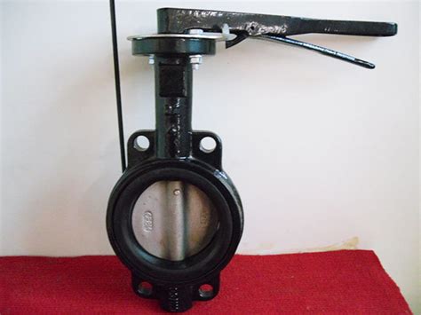 Lug Type Centerline Single Stem Back Seated Butterfly Valve Ningjin Apc