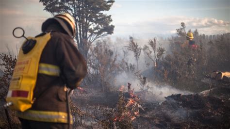 Onemi 16 Incendios Forestales Se Mantienen Activos En El País