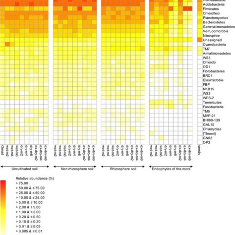 Heat Map With The Relative Abundances Of The 70 Most Abundant Bacterial