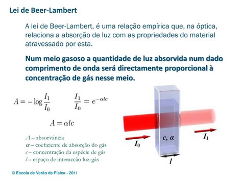 Lei De Lambert Beet