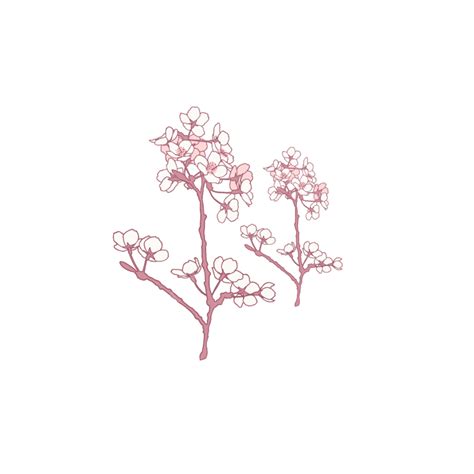 Cherry Blossom Pattern Vector Png Images Cherry Vector Decorative