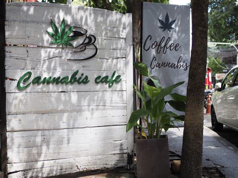 Gov Newsom Vetoes Cannabis Café Bill Observer News Group