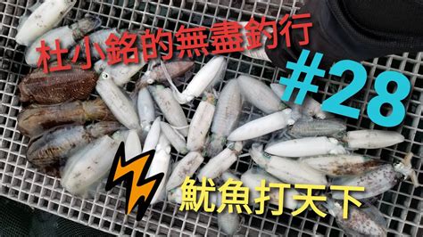 杜小銘的無盡釣行28魷魚打天下香港釣魚 釣魚 釣り 船釣 大尾魷 艇釣 餌木 Eging 魷魚 爆釣 北水