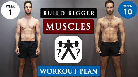 How To Gain Muscle For Skinny Guys Full Workout Routine Youtube