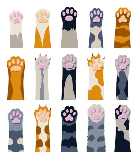 Premium Vector Different Cat Paws Collection Of Various Cute Cartoon