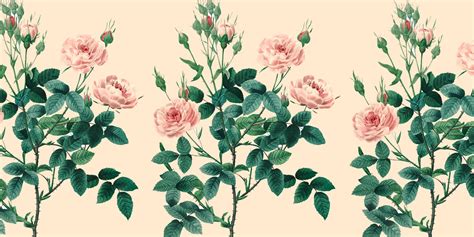 Les bienfaits de l huile de rose musquée sur la peau Marie Claire