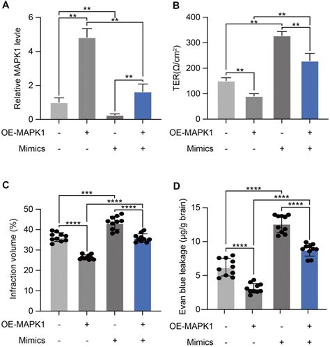 Exosomal Mir P Increases The Permeability Of Blood Brain Barrier