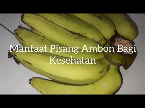 Temukan Manfaat Pisang Ambon Untuk Kesehatan Yang Bikin Kamu Penasaran