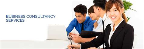 Business Consultancy Services