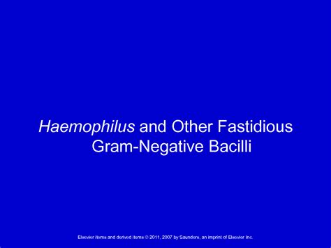 SOLUTION Haemophilus And Other Fastidious Bacteria Studypool