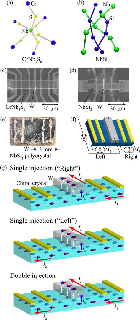 Figure 1 From Spin Polarization Gate Device Based On The Chirality