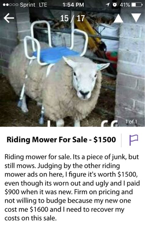 The Weirdest Most Wtf Ads Seen On Craigslist 32 Photos