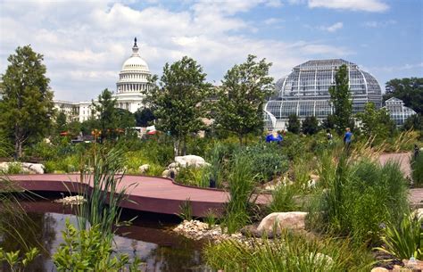 Outdoor Gardens | United States Botanic Garden