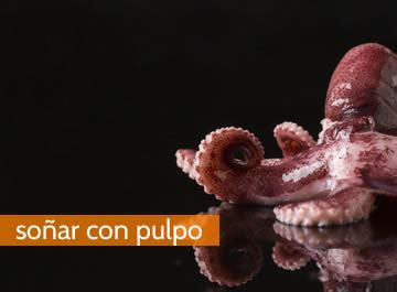 So Ar Con Pulpo Nuestras Caracter Sticas Al Descubierto