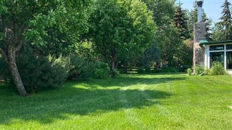 Best Lawn Overseeding Services In Canada Green Drop