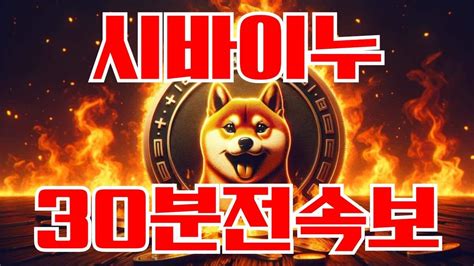 시바이누 30분전 긴급속보 확인하세요코인추천 시바이누코인 Youtube