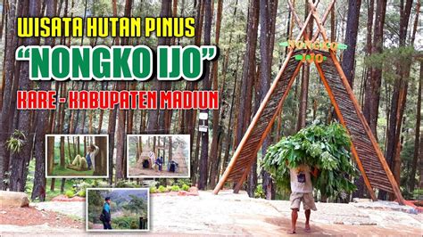 NONGKO IJO KARE MADIUN WISATA HUTAN PINUS MADIUN YouTube