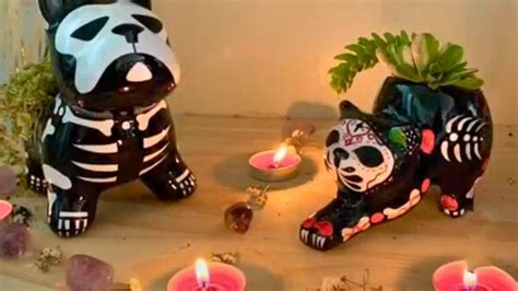 D A De Muertos Cu Ndo Se Pone La Ofrenda Para Las Mascotas Yo Soi T