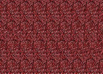 What Hides This Stereogram Brain Teasers