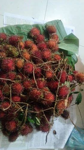 Fresh Rambutan Fruits Packaging Size Kg Packaging Type Carton At