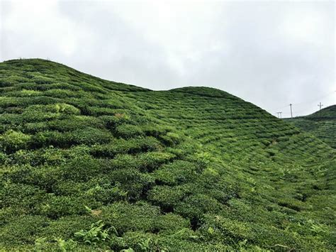 Elevation of Ilam, Nepal - Topographic Map - Altitude Map