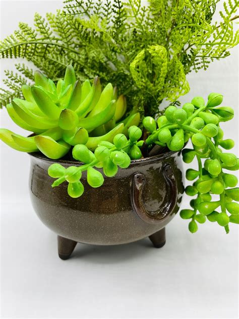 Cauldron Planter Ceramic Planter Pot Witchy Goth Magic Garden