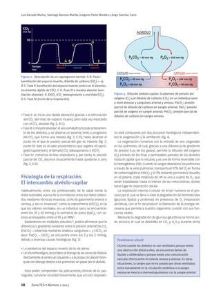 Capnografia En Anestesiologia Ventilacion Mecanica Pdf Descarga Gratuita