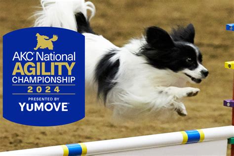 How To Watch The Akc National Championship