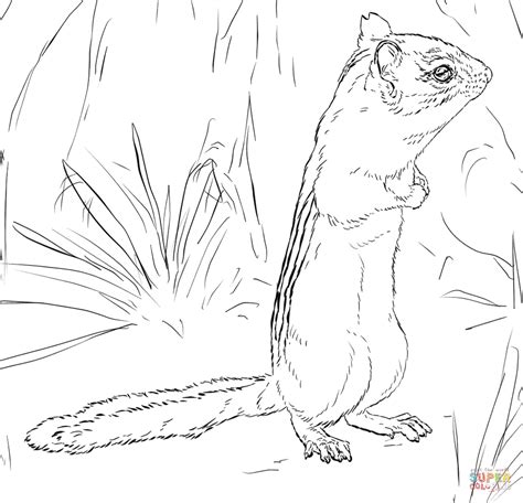 Chipmunk Coloring Pages To Print Coloring Pages