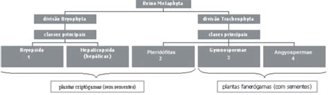 Questões UEMG 2019 para Vestibular EAD Prova 01 Qconcursos