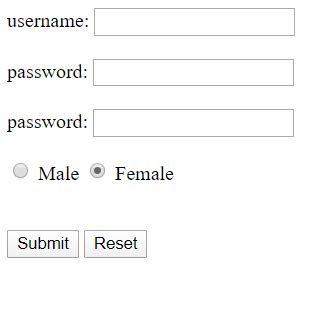 Html Form Create Radio Button