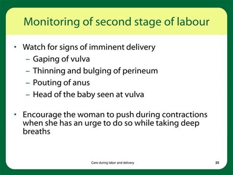 Intrapartum Care Care During Labor Ppt