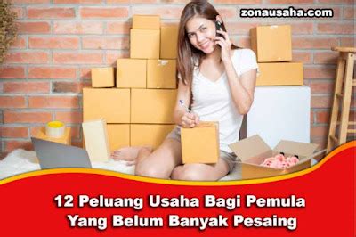 Peluang Usaha Bagi Pemula Yang Belum Banyak Pesaing Zona Usaha