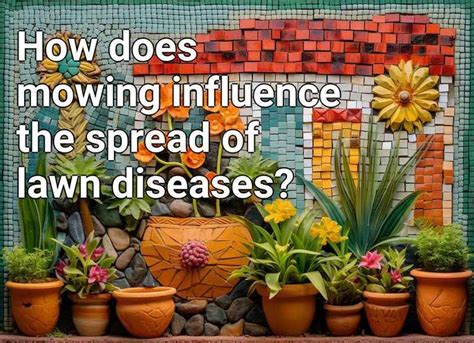 How Does Mowing Influence The Spread Of Lawn Diseases Gardening Gov Capital