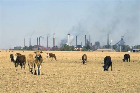 Expertos de la ONU advierten que el cambio climático pondrá en riesgo