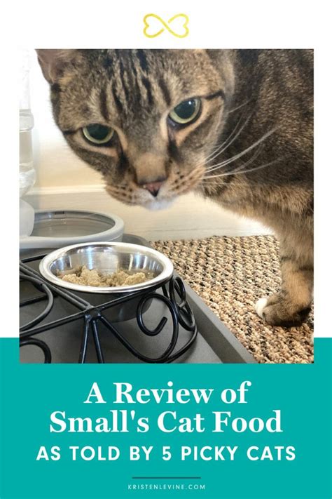 A Smalls Cat Food Review as Told by 5 Picky Cats | Pet Living with ...